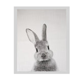Maxbell 6 Panels Canvas Oil Paintings Wall Decor Cute Animal Art Pictures
