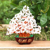 Maxbell Crystal Money Tree Ornament Chinese Myth Lucky Charm Craft Home Decoration D