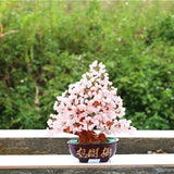 Maxbell Crystal Money Tree Ornament Chinese Myth Lucky Charm Craft Home Decoration D