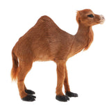 Maxbell Simulation Plush Animal Pet Model Camel Model Figure Children Toy Home Decor - Aladdin Shoppers