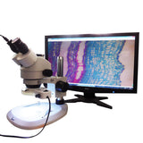 5 MP HD USB Electronic Video Camera Image Sensor Microscope Digital Eyepiece Lens -Black - Aladdin Shoppers