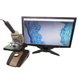 5 MP HD USB Electronic Video Camera Image Sensor Microscope Digital Eyepiece Lens -Black - Aladdin Shoppers