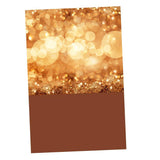 Colorful Chirtmas Photo Background Photography for Backdrop Studio 20 - Aladdin Shoppers