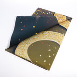 Colorful Photo Background Photography for Backdrop Studio -2361 - Aladdin Shoppers