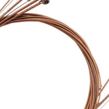 Maxbell Maxbell 6 Pieces Acoustic Guitar Replacement Strings Set