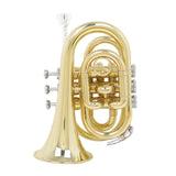 Maxbell Pocket Trumpet with Carrying Case Mouthpiece for Children Musical Gifts Band