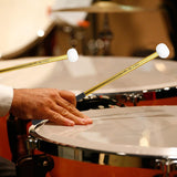 Maxbell 2Pcs Felt Head Timpani Sticks Alloy for Music Education Lotus Drum Hand Drum gold