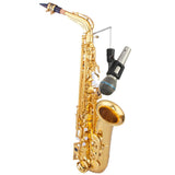 Maxbell Alto and Tenor Saxophone Microphone Stand Sturdy for Family Gatherings Party