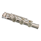 Maxbell Flute Feet Joint Sturdy Connector Diameter 20mm Instrument Accessory 17 Hole