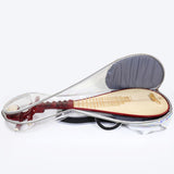 Maxbell Pipa Bag Adjustable Strap Protective Carry Case Lute Bag for Pipa Instrument argent