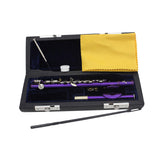 Maxbell Piccolo Woodwind Instrument C Key for Stage Musical Enlightenment Classroom Purple