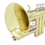 Maxbell BB Trumpet Cleaning Kit Musical Instrument with Hard Case for Student Adults