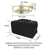 Maxbell BB Trumpet Cleaning Kit Musical Instrument with Hard Case for Student Adults
