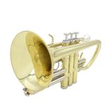 Maxbell BB Trumpet Cleaning Kit Musical Instrument with Hard Case for Student Adults