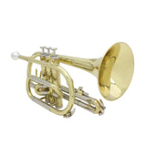 Maxbell BB Trumpet Cleaning Kit Musical Instrument with Hard Case for Student Adults
