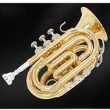 Maxbell BB Trumpet Standard Trumpet Set Trumpet Instrument for Musical Gifts Parties