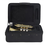 Maxbell BB Trumpet Standard Trumpet Set Trumpet Instrument for Musical Gifts Parties