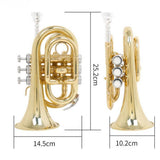 Maxbell BB Trumpet Standard Trumpet Set Trumpet Instrument for Musical Gifts Parties