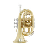 Maxbell BB Trumpet Standard Trumpet Set Trumpet Instrument for Musical Gifts Parties