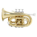 Maxbell BB Trumpet Standard Trumpet Set Trumpet Instrument for Musical Gifts Parties