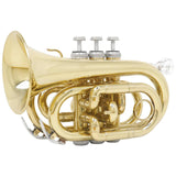 Maxbell BB Trumpet Standard Trumpet Set Trumpet Instrument for Musical Gifts Parties