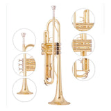Maxbell B Flat Trumpet Set Gold Trumpet Cloth for Performance Professionals Children