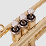 Maxbell B Flat Trumpet Set Gold Trumpet Cloth for Performance Professionals Children