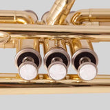 Maxbell B Flat Trumpet Set Gold Trumpet Cloth for Performance Professionals Children