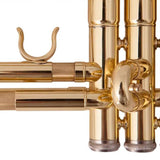 Maxbell B Flat Trumpet Set Gold Trumpet Cloth for Performance Professionals Children