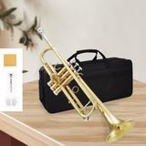 Maxbell B Flat Standard Trumpet Set Gift Classic for Children Stage Performance Kids
