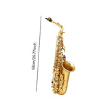 Maxbell E Flat Alto Saxophone Professional E Flat Brass Sax for Concert Players Gift