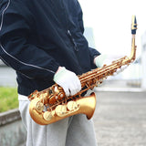 Maxbell E Flat Alto Saxophone Gold Woodwind Instrument Parts for Concert Examination