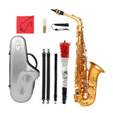 Maxbell E Flat Alto Saxophone Gold Woodwind Instrument Parts for Concert Examination