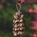 Maxbell Nutshell Handbell Handmade Gifts Shell Nut Shaker for Holiday Parties Adults Height 40cm