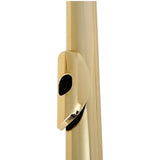 Flute Head Storage Box Management Professional Flute Headjoint Carrying Case Style A