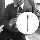 Maxbell Penny Whistle Flute Portable Easily Clean 6 Hole Kids Beginners Music Lovers D Key gold