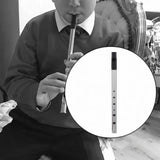 Maxbell Penny Whistle Flute Portable Easily Clean 6 Hole Kids Beginners Music Lovers D Key argent