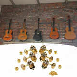 Maxbell 6 Pieces Guitar Pegs 1:20 Volumn Timbre Knobs for Outdoor Indoor Replacement