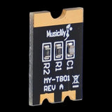 Maxbell Electric Guitar Treble Bleed Compensation for Guitar Bass Musical Instrument Type A