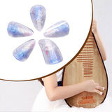 Maxbell Pipa Nails Pianist for Musical String Instruments for Professionals Learning Blue M