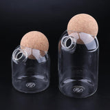 2pcs/Set Glass Food Storage Jar Kitchen Canister for Candy Coffee Tea