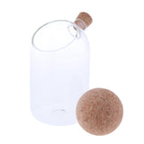 2pcs/Set Glass Food Storage Jar Kitchen Canister for Candy Coffee Tea