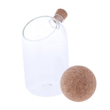 2pcs/Set Glass Food Storage Jar Kitchen Canister for Candy Coffee Tea