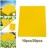 Maxbell 3xSticky Traps Insect Catcher Traps Plant Gnat Catcher  10pcs