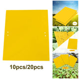 Maxbell 4xSticky Traps Insect Catcher Traps Plant Gnat Catcher  10pcs