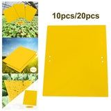 Maxbell 4xSticky Traps Insect Catcher Traps Plant Gnat Catcher  10pcs