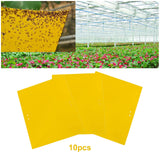 Maxbell 4xSticky Traps Insect Catcher Traps Plant Gnat Catcher  10pcs