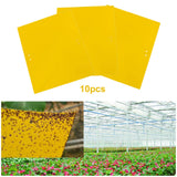 Maxbell 3xSticky Traps Insect Catcher Traps Plant Gnat Catcher  10pcs