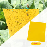 Maxbell 3xSticky Traps Insect Catcher Traps Plant Gnat Catcher  10pcs
