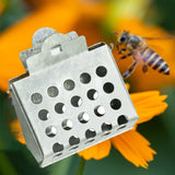 Maxbell 2xQueen Bee Catcher Cage Stainless Steel Clamp Beekeeping Tool Beekeeper